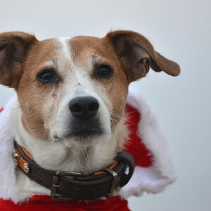 DSC 6911 15 12 13