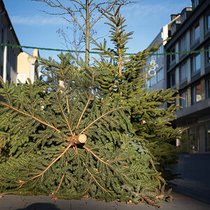 20140101 DSC00323