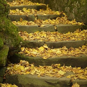 Herbst 001