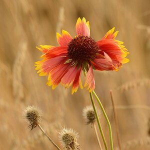 Herbst 004