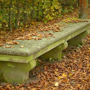 Herbst 006