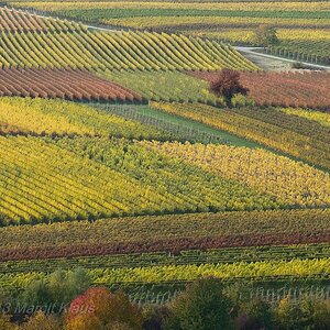 Herbst 007