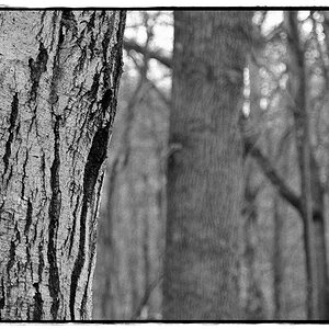 HST 1845 DxOFP ilford hps 800