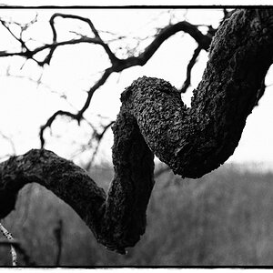 HST 1859 DxOFP ilford hps 800