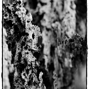 HST 1862 DxOFP ilford pan f plus 50 (2)