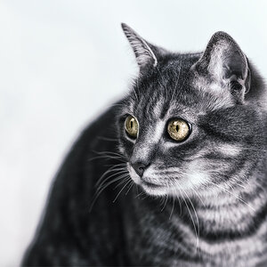 20131228 0022 PS Version2 1000Px
