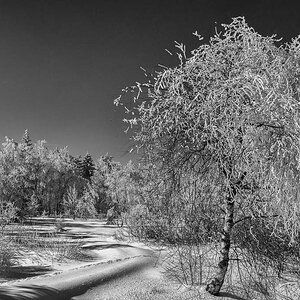 20130302 012 SW 1