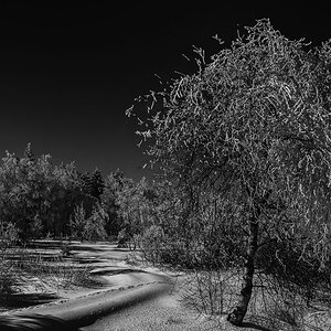 20130302 012 SW 2