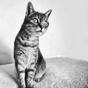 20131228 0039 PS 1000Px
