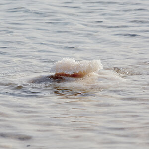 deadsea1 168c sm