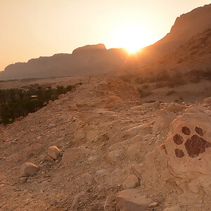 z deadsea1 313a sm