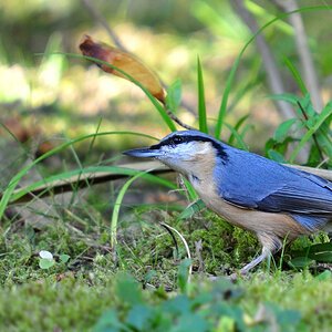 DSC 7561 khg
