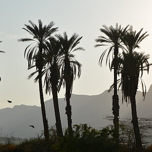 deadsea1 209a sm