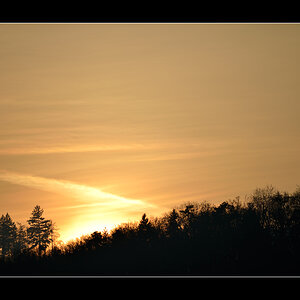 Abend PZ15285