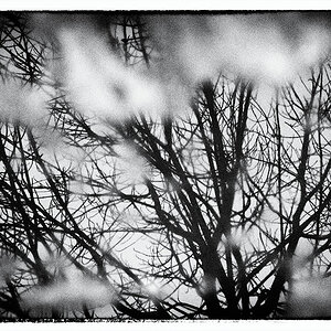 14/365 1 Zweitauswahl
