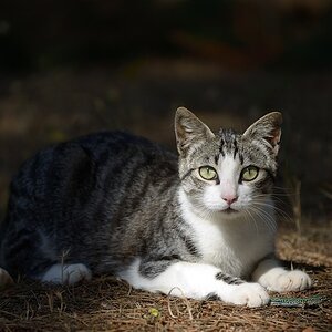2013 05 19 17 15 33 DSF 3778 PS