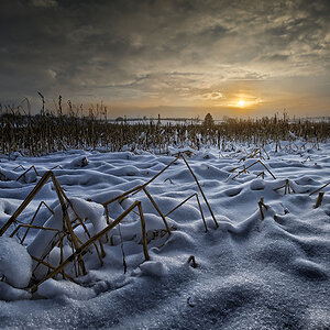 last sunrays small