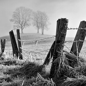 comp DSC 3598   2