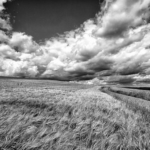 comp DSC 7460   1 SW