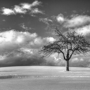 comp DSC 4053 tonemapped