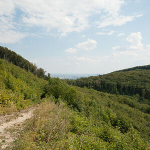 Wiener Wald