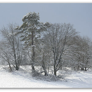 130209 Pano 040,
2013