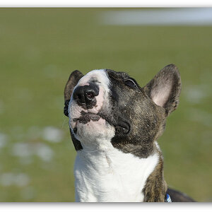 130302 Rutesheim 016,
2013