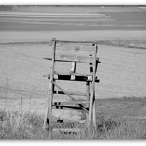 130505 Niedernb 0056,
2013
