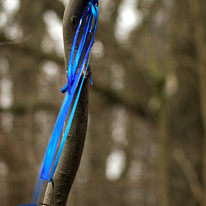 2871024blau