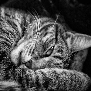 DSC 1251 DxO SW