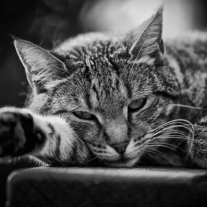 DSC 5305 DxO 2