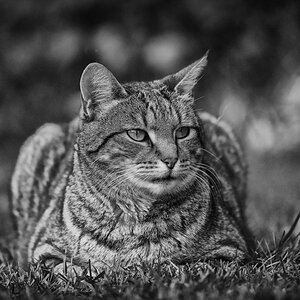 DSC 5368 DxO 2