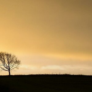 Morgensonne