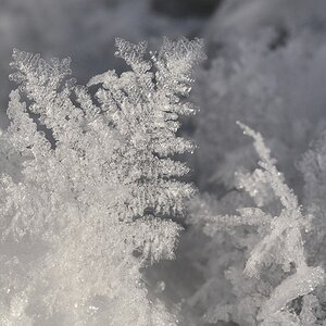 Schneemakro 3