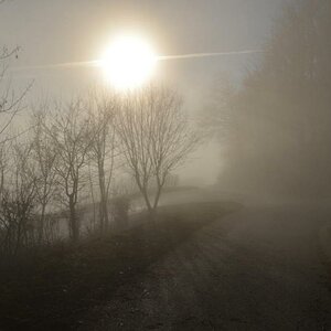Sonniger Nebel
