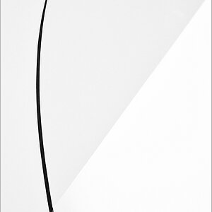 cR Schattenfuge 7389