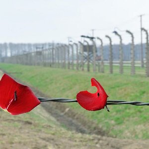 Auschwitz-Birkenau