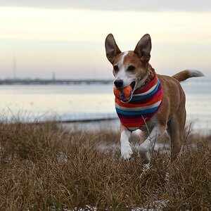 DSC 8497 2 214