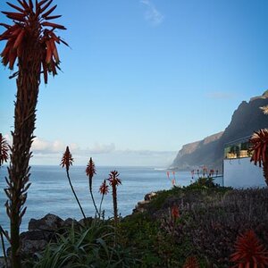 Jardim do Mar