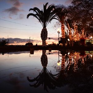 Funchal Christmas at Harbour