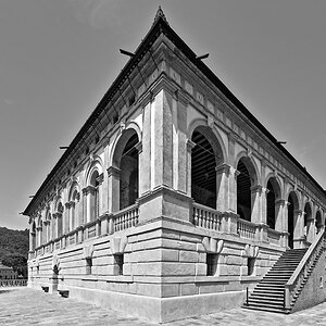 vescovi