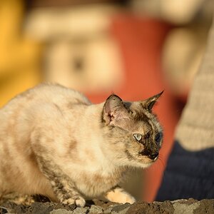 2014 01 16 18 10 15 DSF 9133