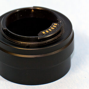 2140202 1095 Chip Nikon1