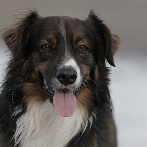 DSC 1430a