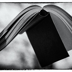 6/365