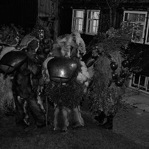 DSC 0434 kopierenkw