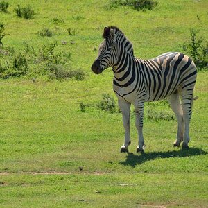 Südafrika 01