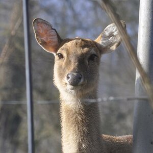 im Zoo