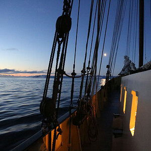 Spitzbergen 2013 JE 3494