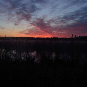 DSC 0023 105